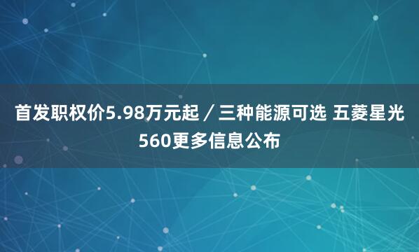 首发职权价5.98万元起／三种能源可选 五菱星光560更多信息公布